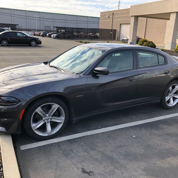 Meet your Posher, Tim - Picture 1 of 1